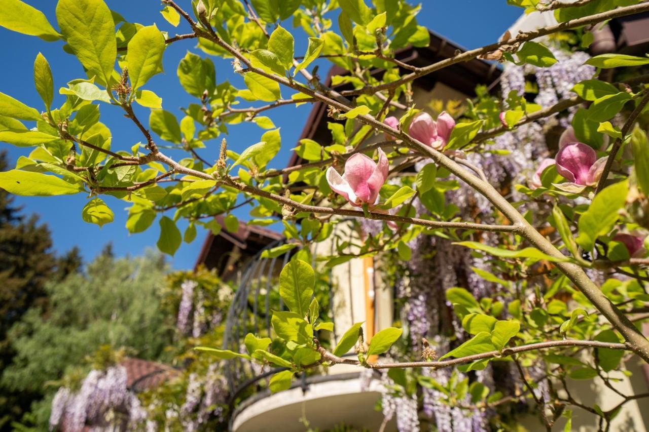 Apartamenty Miranda Kudowa-Zdrój Esterno foto